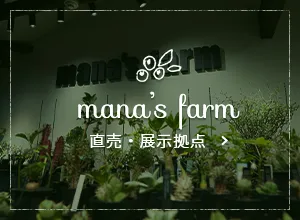 直売・展示拠点