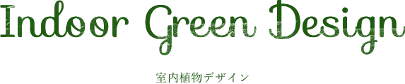 室内植物デザイン