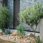 植栽施工事例　建築 植栽設計