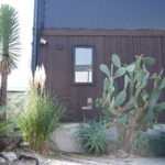 施工事例サボテン