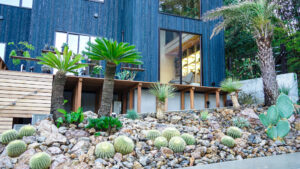 ドライガーデン外構