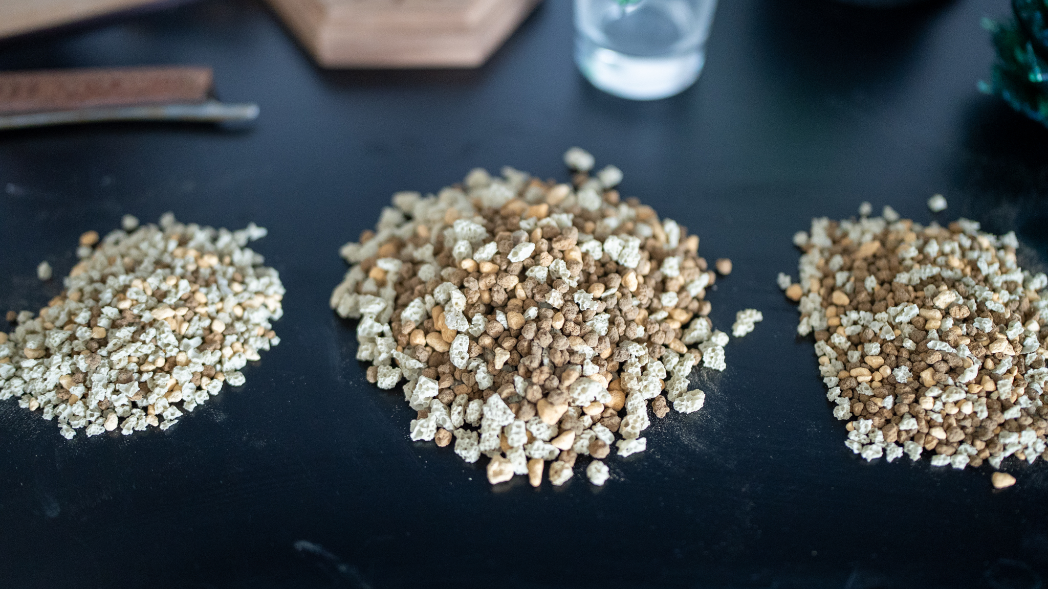 塊根植物 土 おすすめ