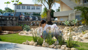 植栽外構沖縄