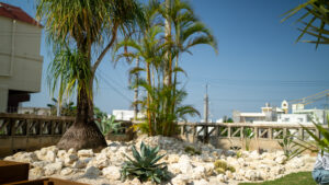 沖縄の外構で大事な事