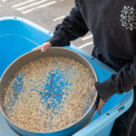 塊根植物アガベ土