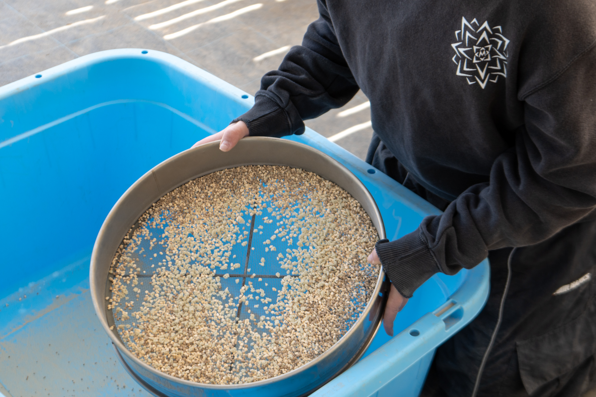 塊根植物アガベ土