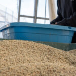 アガベ塊根土品質管理