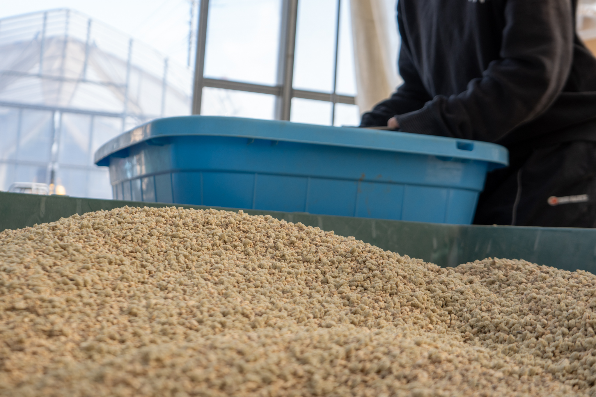 アガベ塊根土品質管理